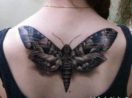 女孩背部灰色的飞蛾3D纹身图案