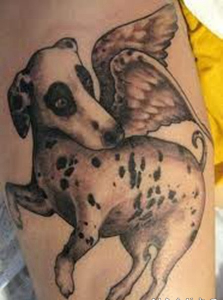 手臂有趣的手绘3D狗与翅膀纹身图案