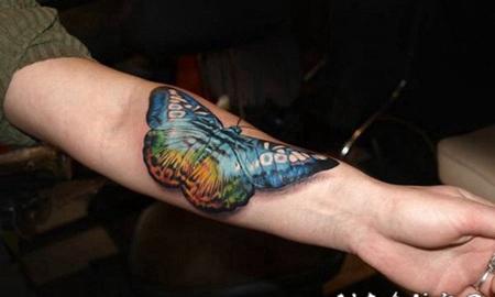 手臂3D非常逼真的自然彩色蝴蝶纹身图案