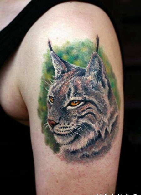 手臂3D逼真的彩色野猫纹身图案