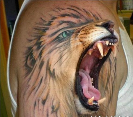 大臂令人难以置信的半卡通半逼真彩色狮子纹身图案
