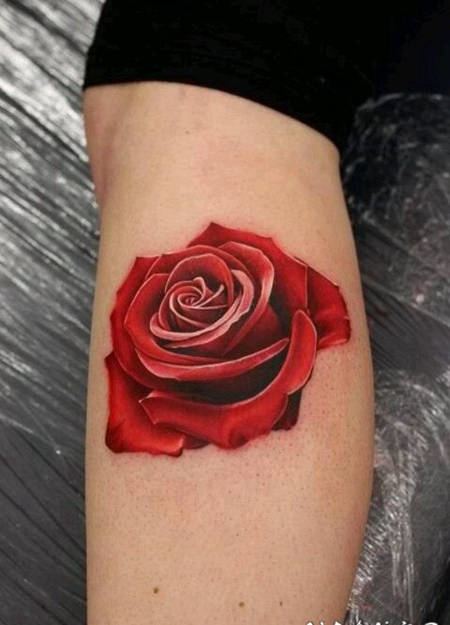 小腿3D红色的玫瑰纹身图案