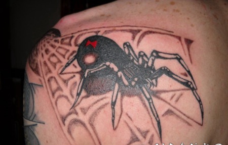 背部写实的3D五彩大蜘蛛和蜘蛛网纹身图案