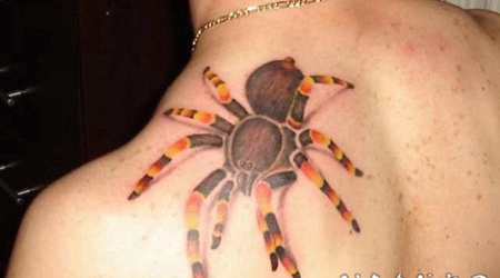 肩部令人印象深刻的3D丛林蜘蛛纹身图案