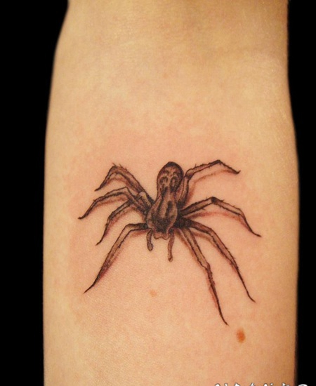 手臂简单的3D黑灰蜘蛛纹身图案