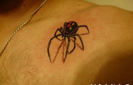 3D非常逼真的彩绘大蜘蛛纹身图案