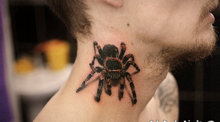 颈部3D非常逼真的丛林蜘蛛纹身图案