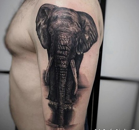 手臂超逼真的3D大象纹身图案