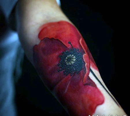 手臂3D逼真的自然彩色罂粟花纹身图案