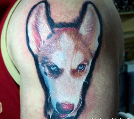 3D非常逼真的彩色狗手臂纹身图案