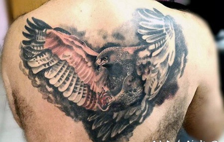背部3D彩色的鹰纹身图案