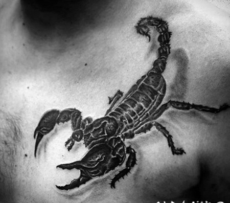 胸部3D逼真的黑色蝎子纹身图案
