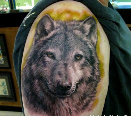 大臂令人难以置信的逼真3D彩色狼纹身图案