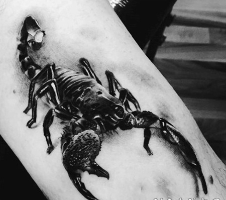 很棒的黑色逼真3D蝎子手臂纹身图案