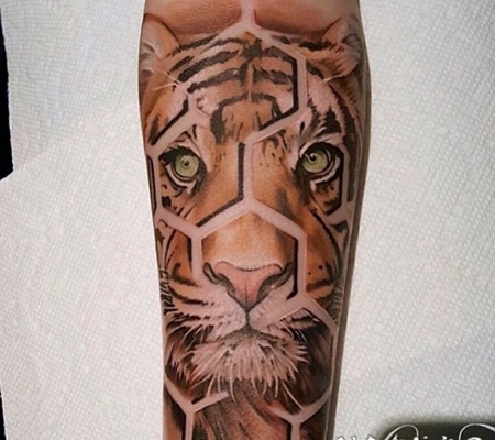 手臂3D风格彩色的老虎几何纹身图案
