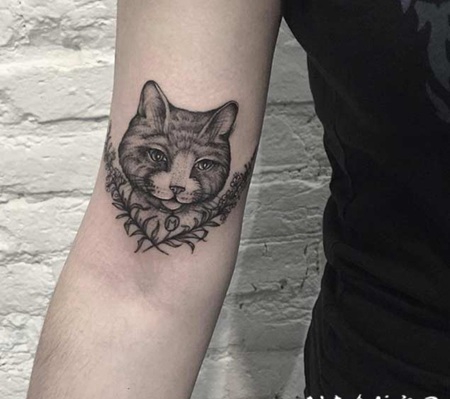 手臂3D有趣的猫和叶子纹身图案