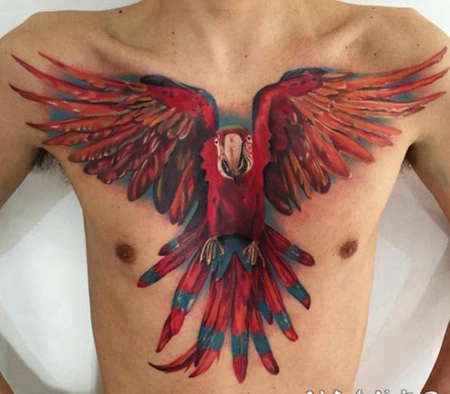 胸部色彩鲜艳的逼真3D鹦鹉纹身图案