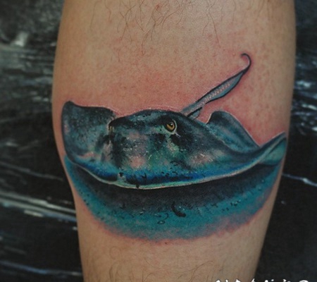 小腿3D彩色的逼真鳐鱼纹身图案