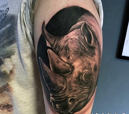 手臂3D写实逼真的野生犀牛纹身图案