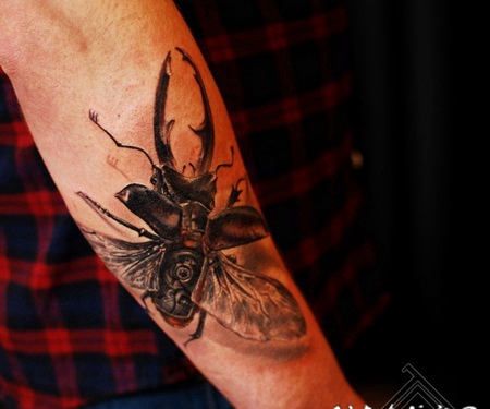 手臂华丽的3D逼真昆虫纹身图案