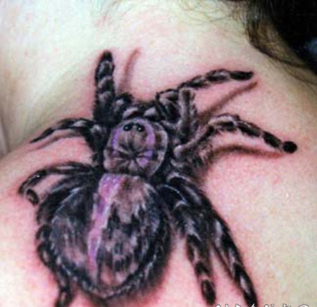 肩部3D大蜘蛛纹身图案