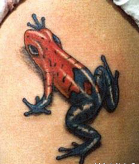 3D红色和蓝色的逼真青蛙纹身图案
