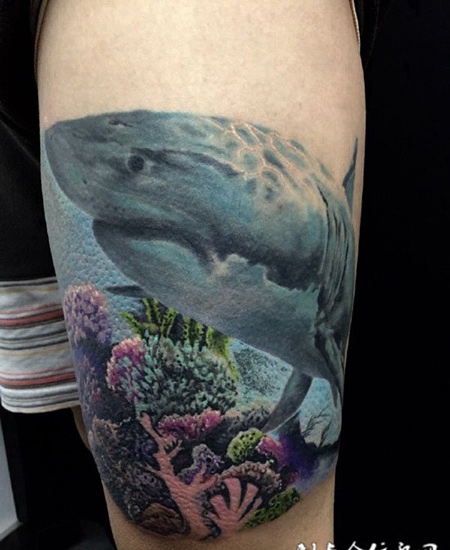 海洋世界，手臂写实鲨鱼纹身