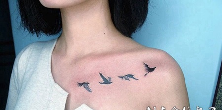 小鸟成长记，披肩小鸟刺青