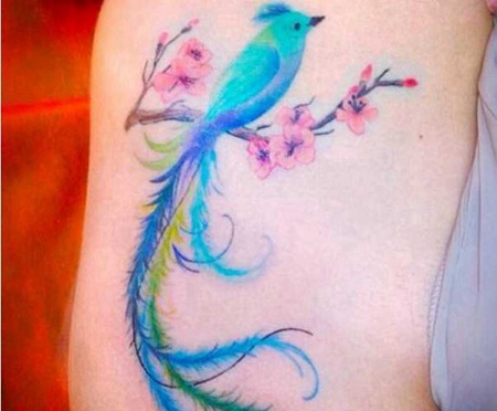 梅花上美丽的蓝色鸟纹身图案