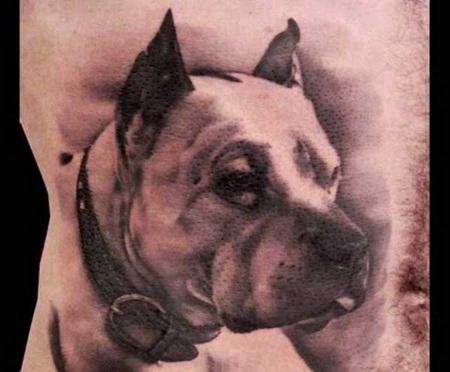 腰部帅气的斗牛犬纹身图案