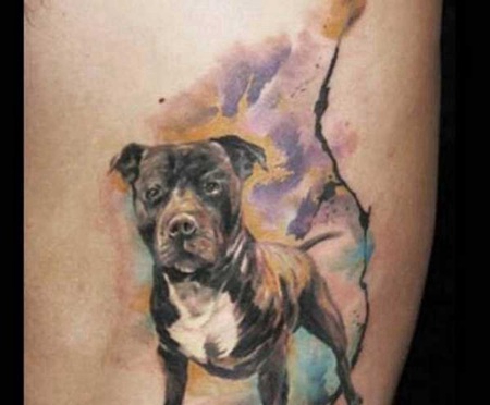 斗牛犬彩色水墨纹身图案