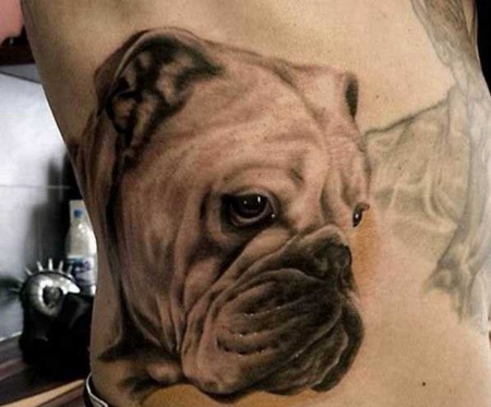 腰部斗牛犬写实纹身图案