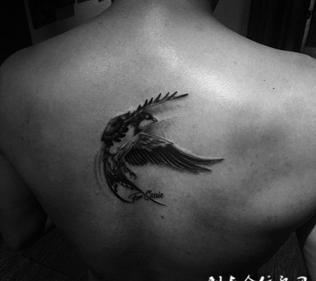 雏燕新飞，后背燕子个性纹身