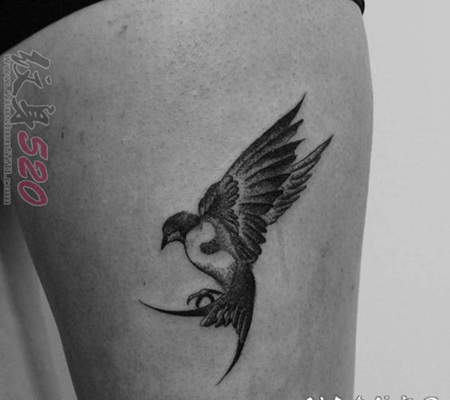 黑色小动物点刺技巧个性的小鸟纹身图案