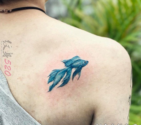 关于小鱼的设计感十足创意个性纹身图案