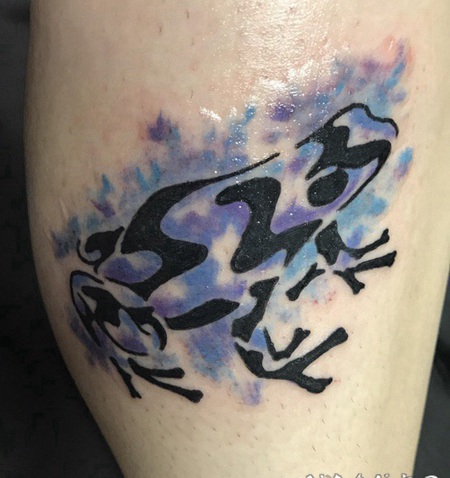 男生腿上水彩泼墨线条青蛙纹身图片