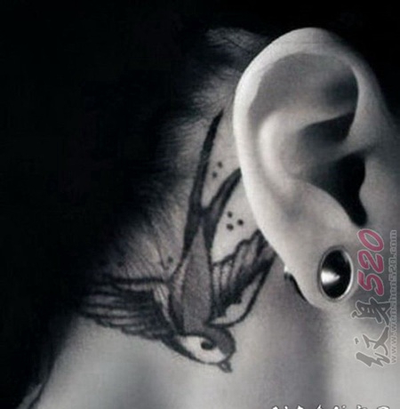 关于小鸟的黑色素描文艺小清新纹身图案