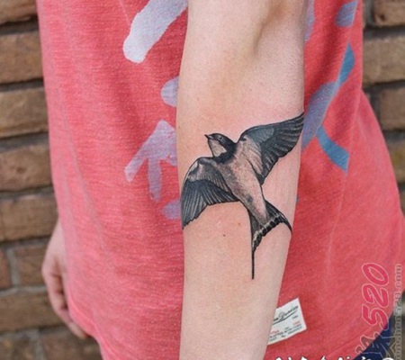 关于动物小燕子创意个性纹身图案
