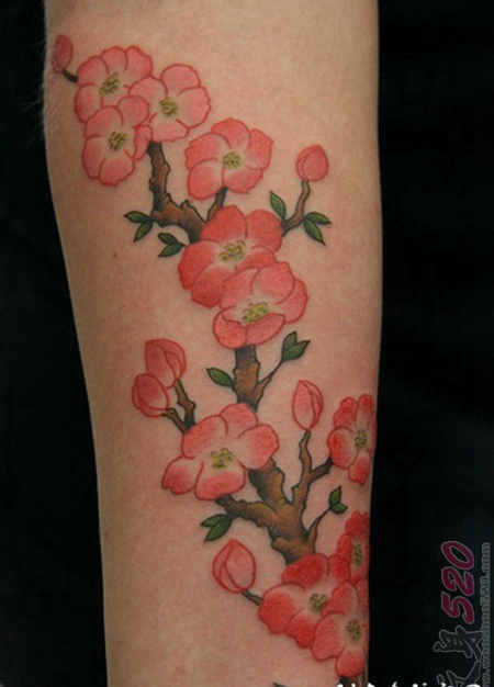 女生手臂上彩色创意个性文艺小清新纹身图案 a