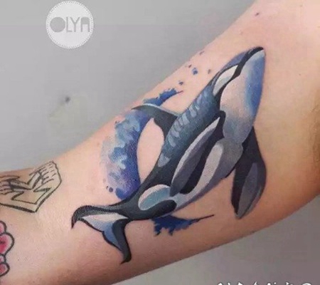 手臂鲸鱼纹身图片