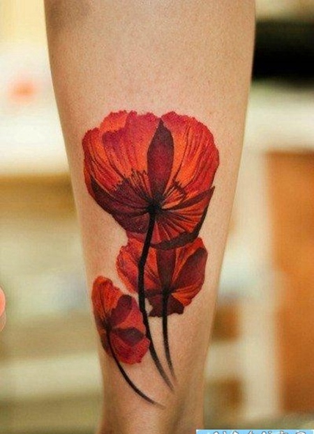 腿部漂亮时尚的罂粟花纹身图片