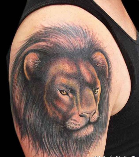 真正的王者不需要蝼蚁的朝拜狮子纹身