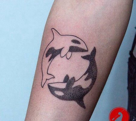 手臂阴阳虎鲸纹身图片