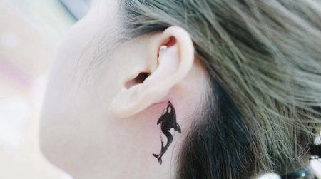 耳朵后面有微妙的虎鲸纹身
