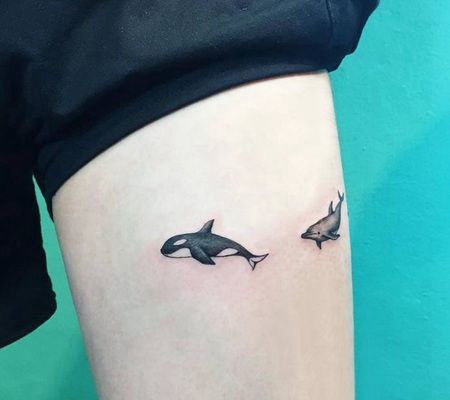 小虎鲸和海豚纹身图案