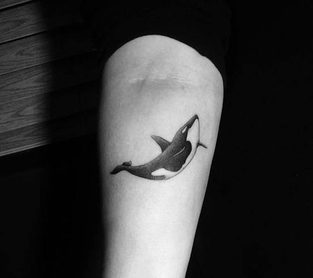 手臂上华丽的虎鲸纹身图片