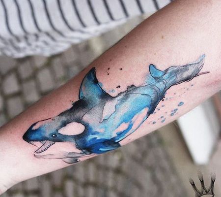 前臂上有美丽的水彩虎鲸纹身