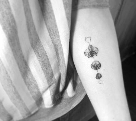 黑白色的蝴蝶兰属兰花纹身图