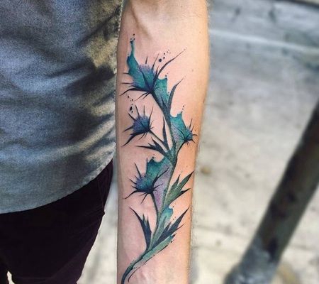 漂亮的水彩蓟纹身设计在前臂