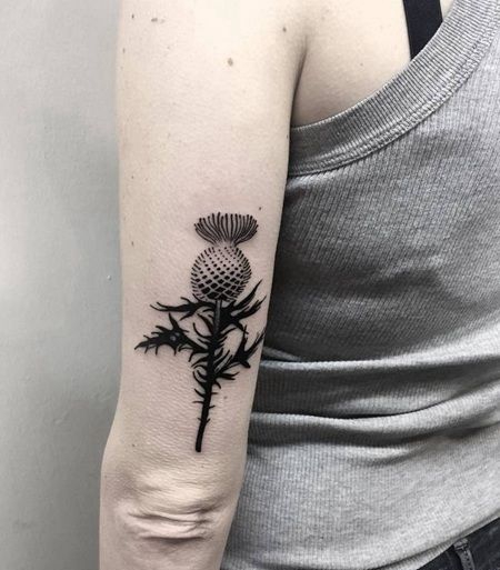 胳膊外侧黑色蓟花骨朵纹身图案